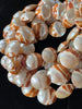 Philippine Shell Moonstone Tiger