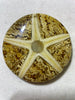 Pendant Star Fish MOP Coconut Shell Backing